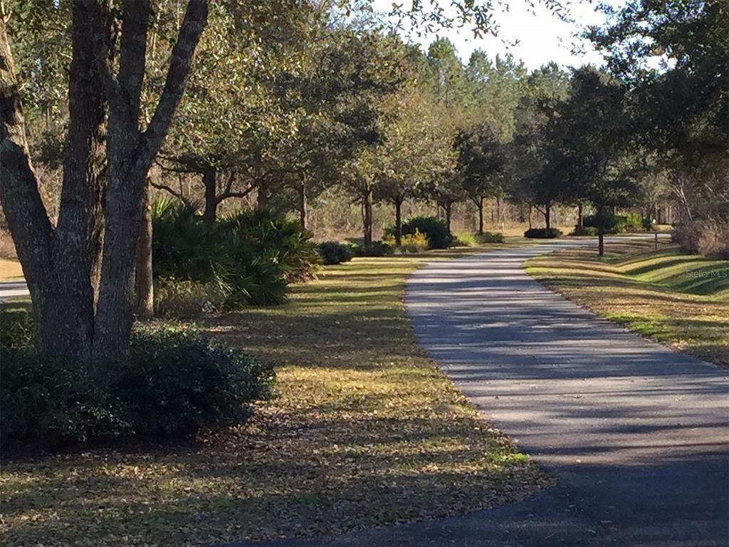 8. Land for Sale at SW 21 PLACE Lot 22 Newberry, Florida 32669 United States
