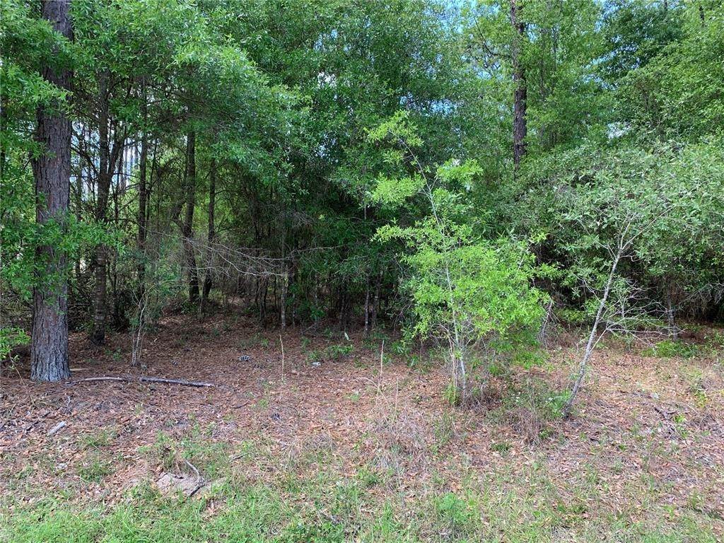 5. Land for Sale at SW 202 COURT Dunnellon, Florida 34431 United States