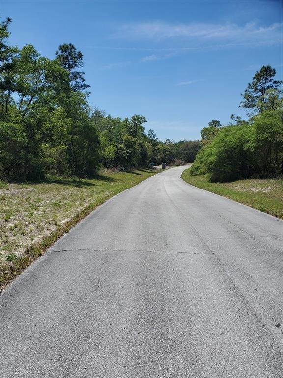 2. Land for Sale at SW 77TH COURT Ocala, Florida 34473 United States