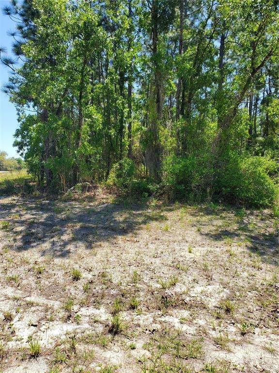 3. Land for Sale at SW 77TH COURT Ocala, Florida 34473 United States
