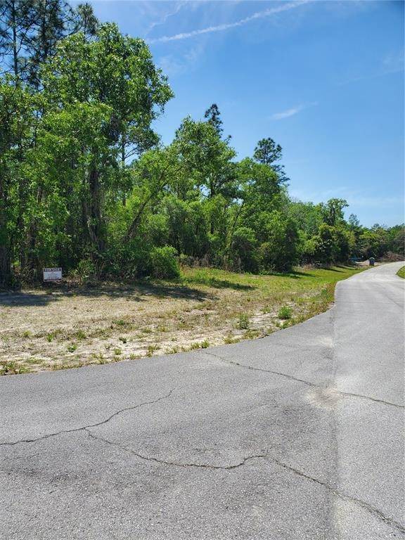 11. Land for Sale at SW 77TH COURT Ocala, Florida 34473 United States