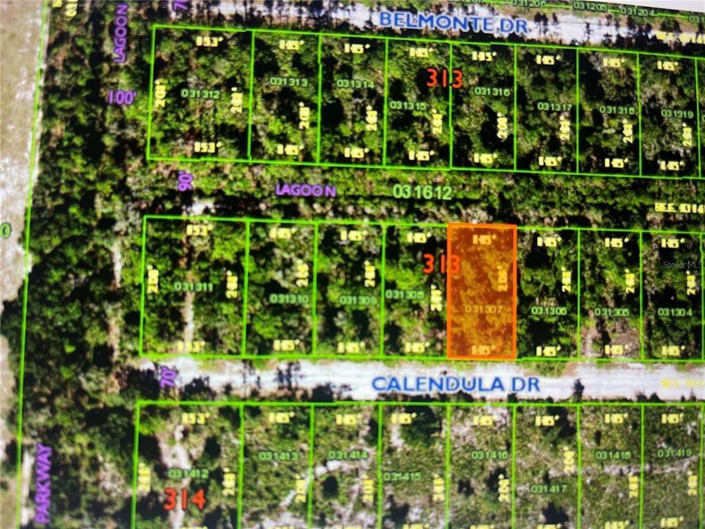 1. Land for Sale at CALENDULA Drive Indian Lake Estates, Florida 33855 United States
