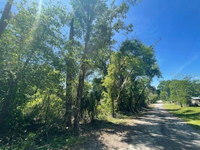 7. Land for Sale at NW 188TH Avenue High Springs, Florida 32643 United States