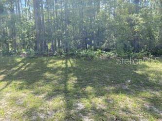 3. Land for Sale at SW 87TH CIRCLE Ocala, Florida 34473 United States