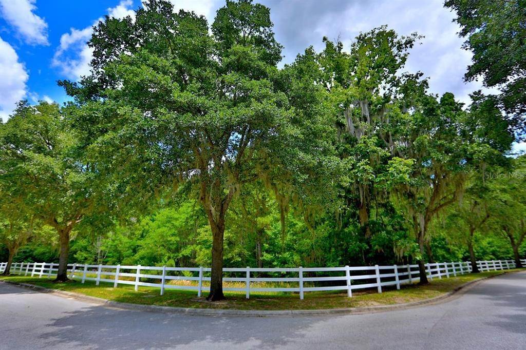 3. Land for Sale at SW 37TH PLACE ROAD Ocala, Florida 34471 United States