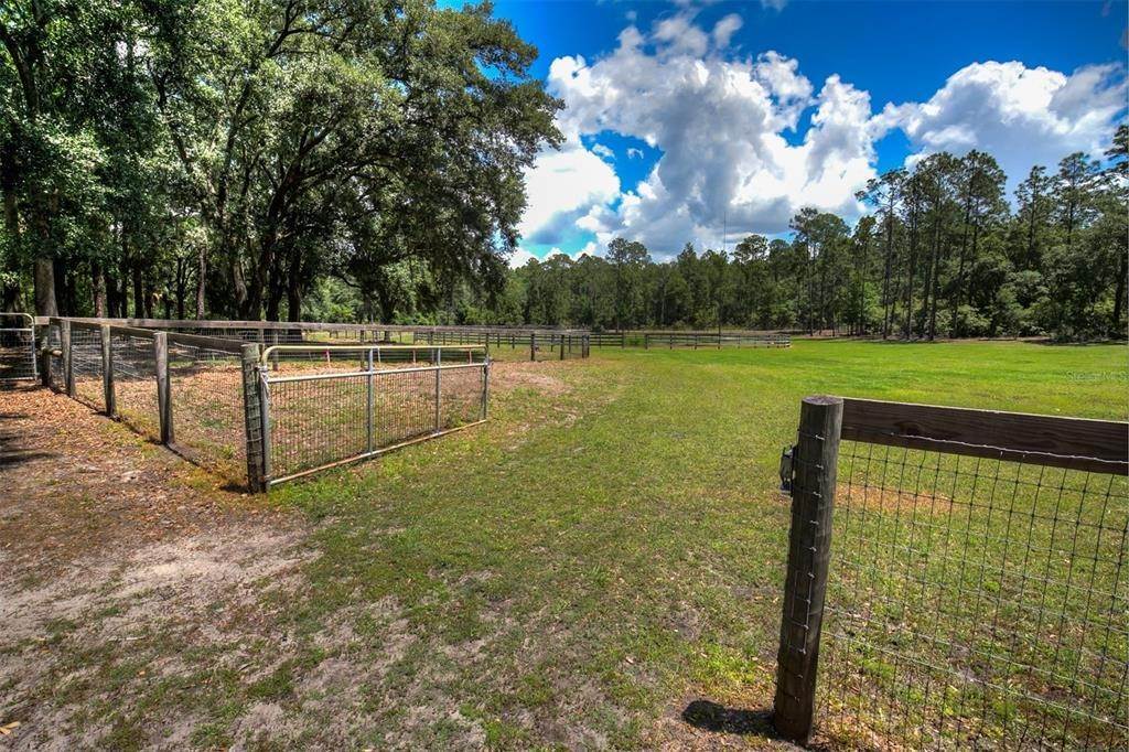 5. Single Family Homes for Sale at 5470 SE 112TH Court Morriston, Florida 32668 United States