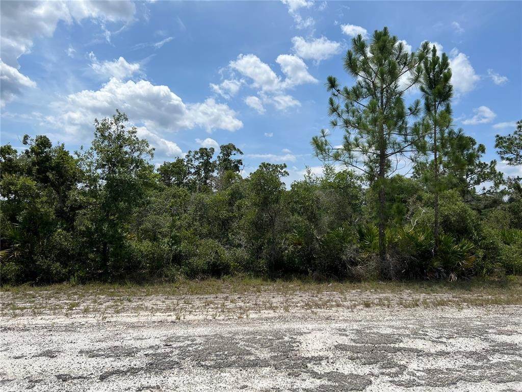 8. Land for Sale at COLUMBUS DRIVE Lake Wales, Florida 33898 United States