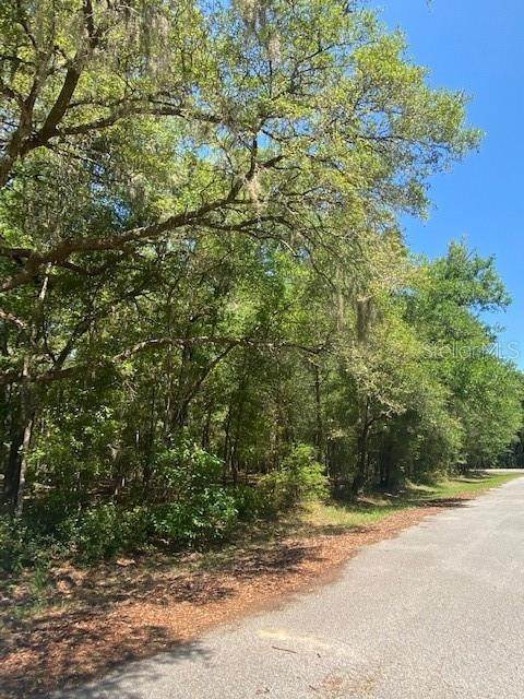 2. Land for Sale at SW 186TH AVENUE Dunnellon, Florida 34432 United States