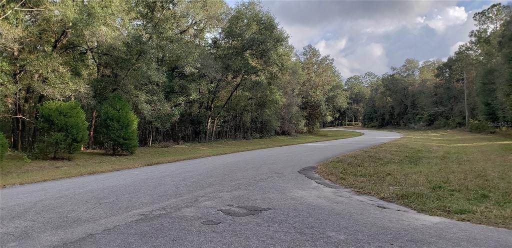 3. Land for Sale at SW 186TH AVENUE Dunnellon, Florida 34432 United States