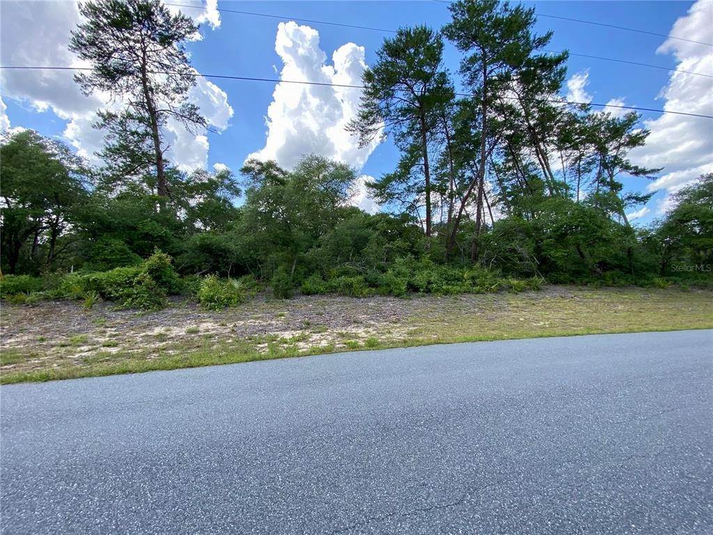 Land for Sale at SW 161 STREET LOOP Ocala, Florida 34473 United States