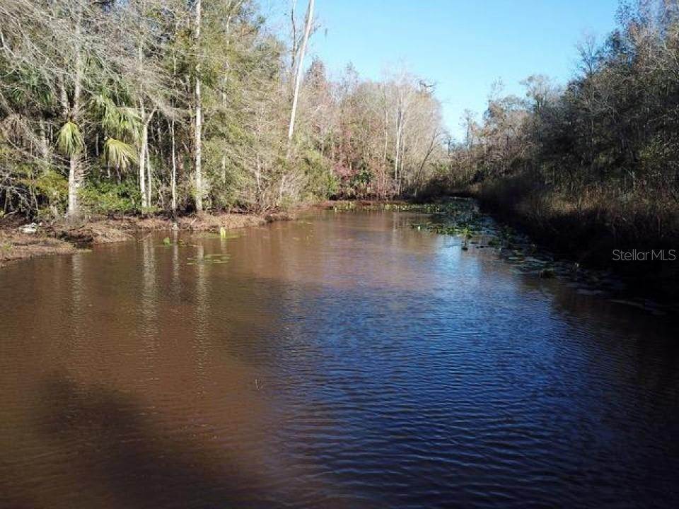 14. Land for Sale at SW 9TH TERRACE Chiefland, Florida 32626 United States