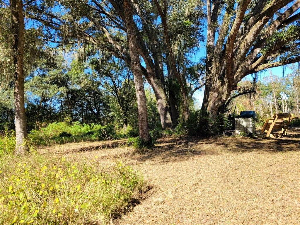 16. Land for Sale at 44150 COUNTY ROAD 54 Kathleen, Florida 33849 United States