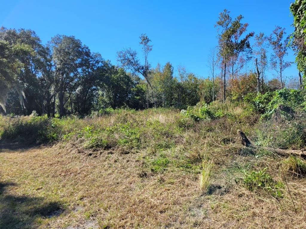 15. Land for Sale at 44150 COUNTY ROAD 54 Kathleen, Florida 33849 United States