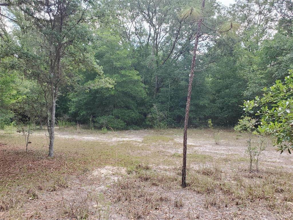 18. Land for Sale at N SR 51 Mayo, Florida 32066 United States