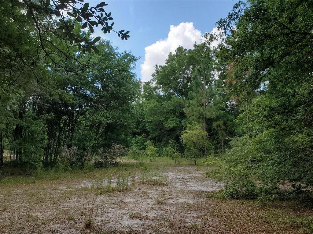 19. Land for Sale at N SR 51 Mayo, Florida 32066 United States