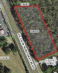 Land for Sale at US HWY 19 Crystal River, Florida 34428 United States