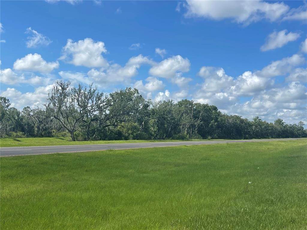 1. Land for Sale at S US HWY 17 Zolfo Springs, Florida 33890 United States