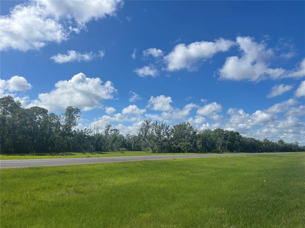 4. Land for Sale at S US HWY 17 Zolfo Springs, Florida 33890 United States