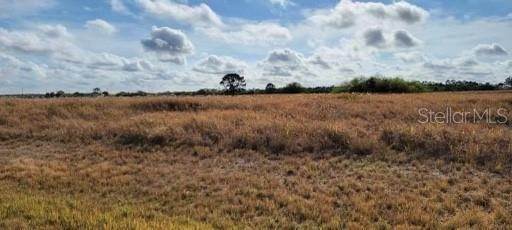 1. Land for Sale at 9029 E BROAD Court Labelle, Florida 33935 United States