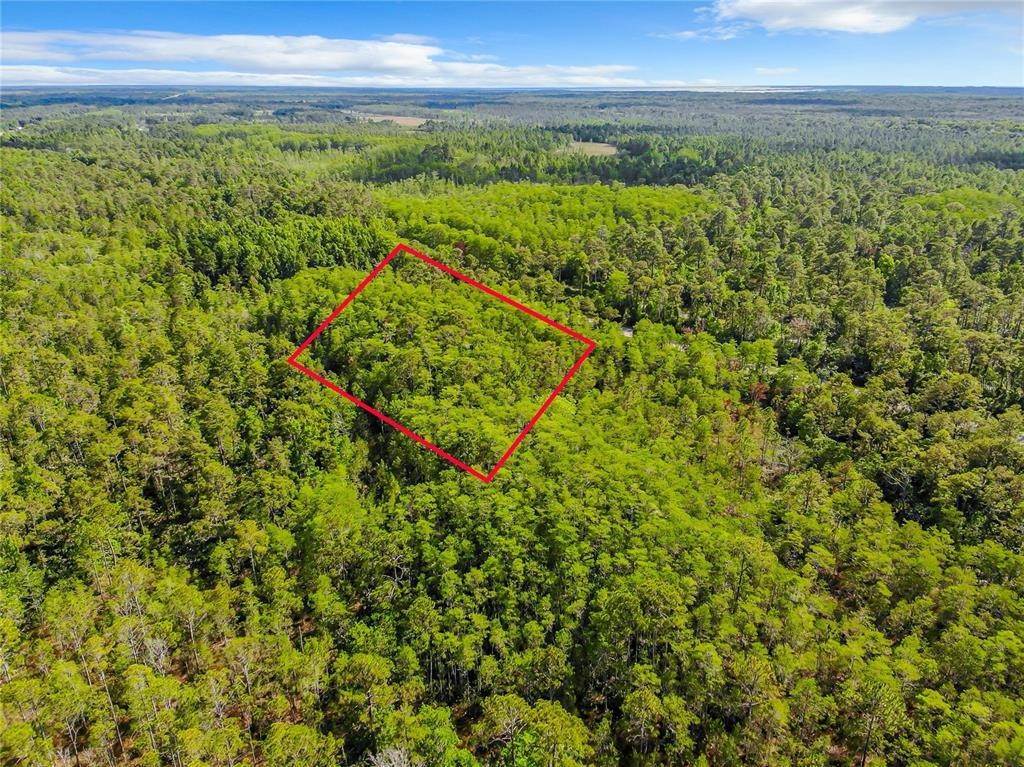 10. Land for Sale at MAYTOWN ROAD Oak Hill, Florida 32759 United States