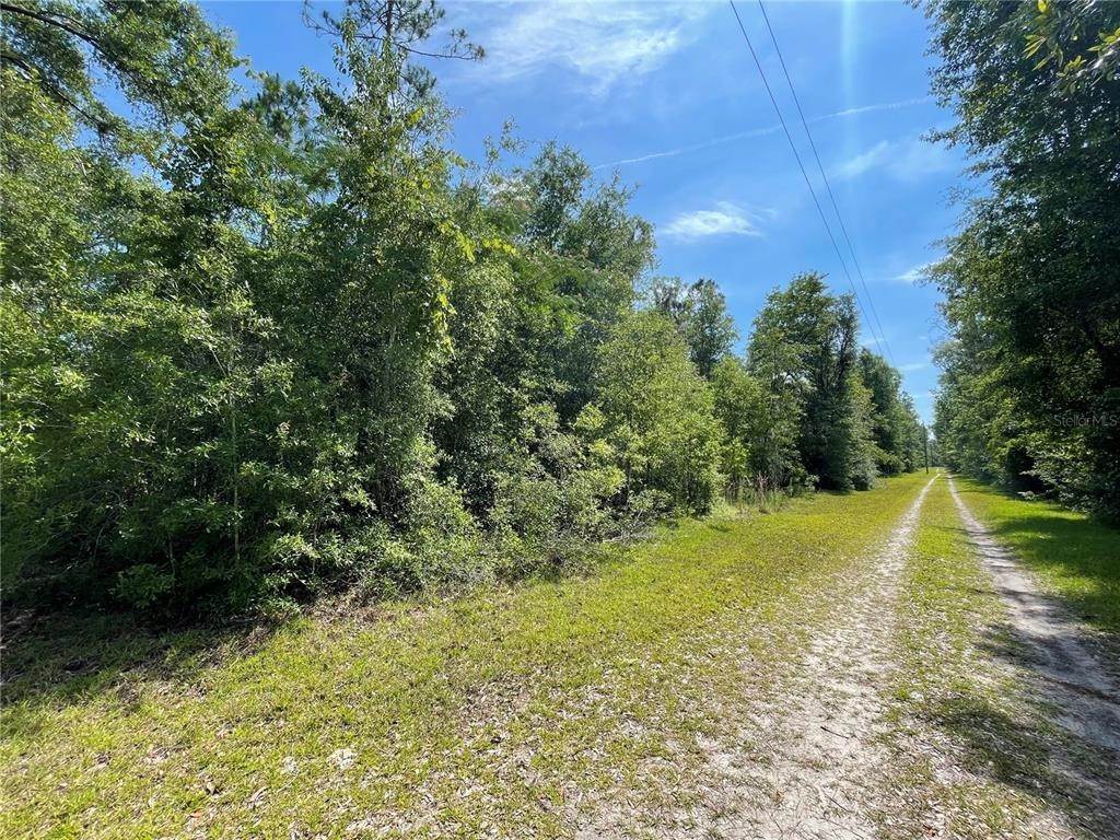 Land for Sale at 25028 25TH PLACE O Brien, Florida 32071 United States