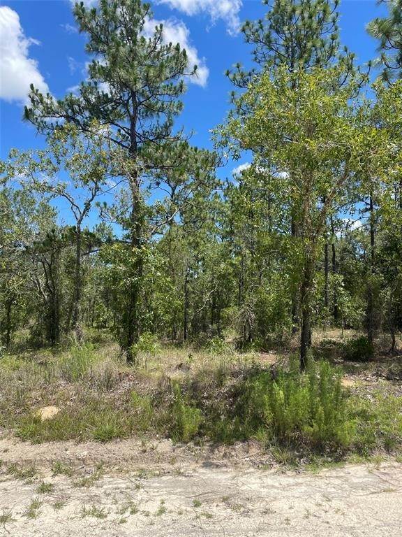 Land for Sale at SW 89TH STREET Lot 2 Dunnellon, Florida 34432 United States