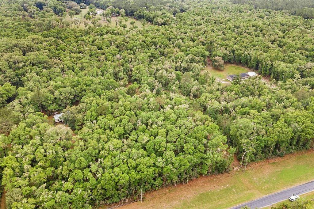 2. Land for Sale at 17403 SW 95TH Avenue Archer, Florida 32618 United States