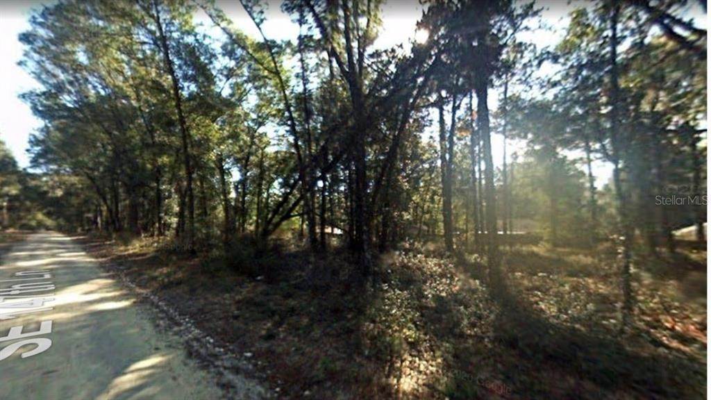 Land for Sale at 147TH LANE Summerfield, Florida 34491 United States