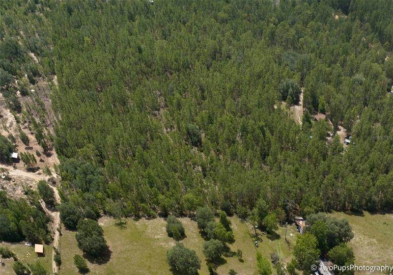 13. Land for Sale at FOREST HILLS ROAD Melrose, Florida 32666 United States