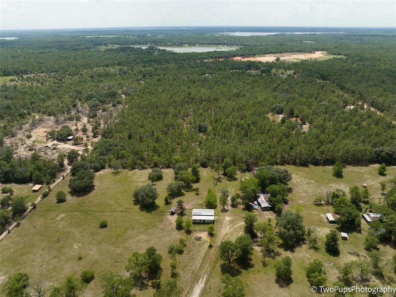 12. Land for Sale at FOREST HILLS ROAD Melrose, Florida 32666 United States