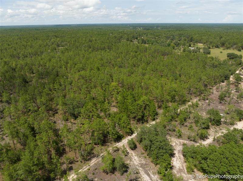 18. Land for Sale at FOREST HILLS ROAD Melrose, Florida 32666 United States