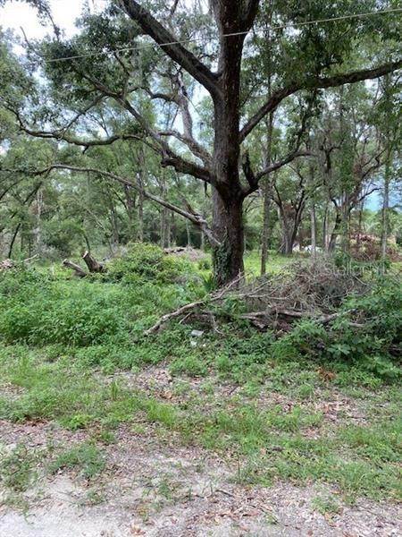 5. Land for Sale at TBD SW 111th LANE Dunnellon, Florida 34432 United States