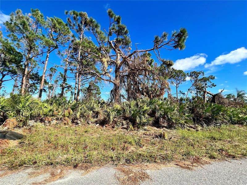 Land for Sale at 13 AFLOAT DRIVE Placida, Florida 33946 United States