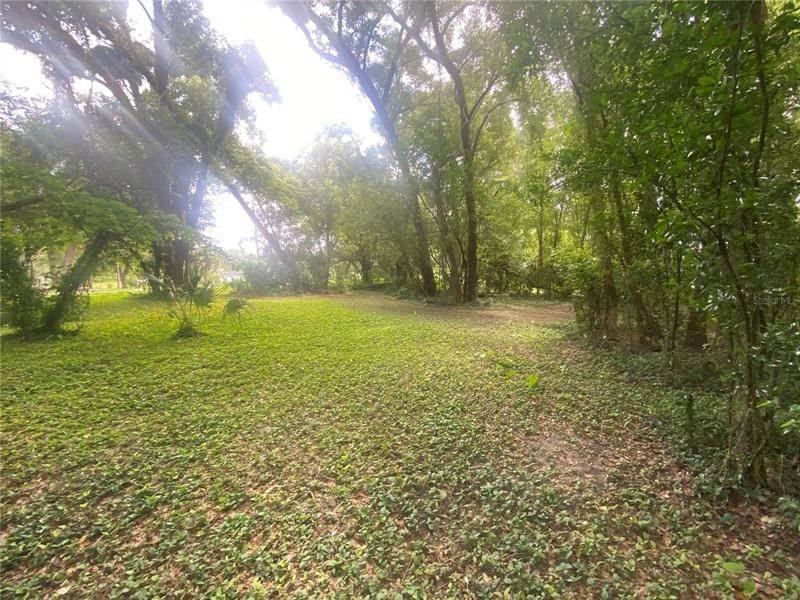 1. Land for Sale at TRILBY ROAD Dade City, Florida 33523 United States