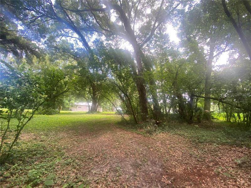 9. Land for Sale at TRILBY ROAD Dade City, Florida 33523 United States