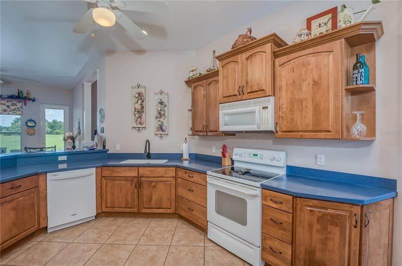 12. Single Family Homes for Sale at 5851 EFFIE DRIVE Apopka, Florida 32712 United States