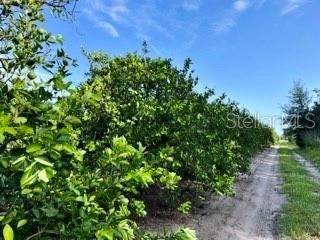 Land for Sale at STEVE ROBERTS SPECIAL Zolfo Springs, Florida 33890 United States