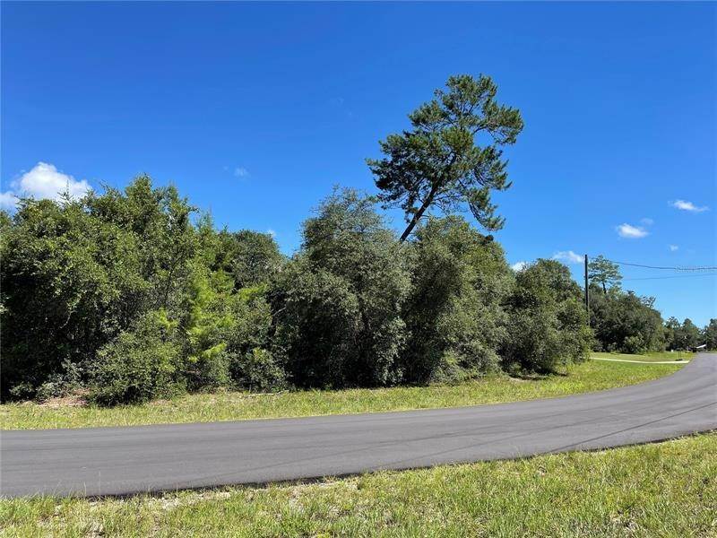 3. Land for Sale at SW 29TH CT Road Ocala, Florida 34473 United States