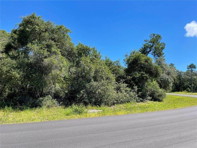 4. Land for Sale at SW 29TH CT Road Ocala, Florida 34473 United States