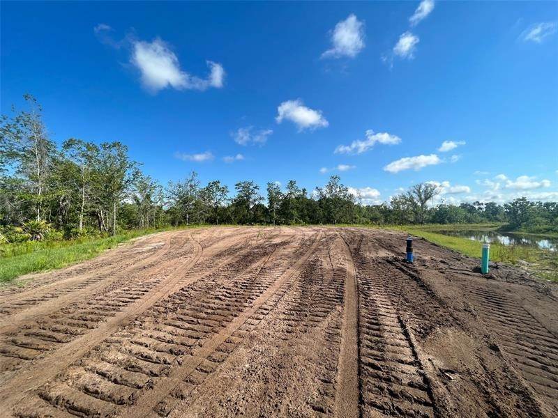 12. Land for Sale at SCAGLIONE DRIVE Lutz, Florida 33559 United States