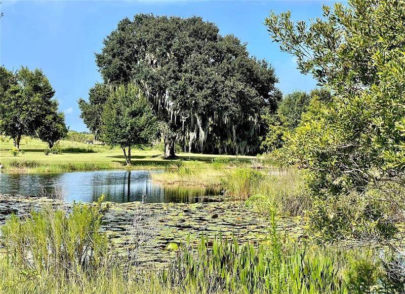 Land for Sale at EMPIRE CHURCH Road Groveland, Florida 34736 United States