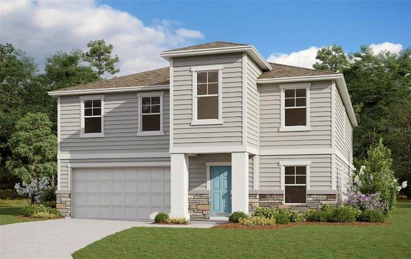 Single Family Homes for Sale at 2907 FIRETHORN AVENUE Orange Park, Florida 32073 United States
