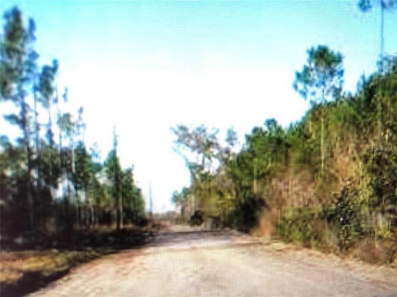 Land for Sale at 35 Acres MADISON MAIN LINE Perry, Florida 32347 United States
