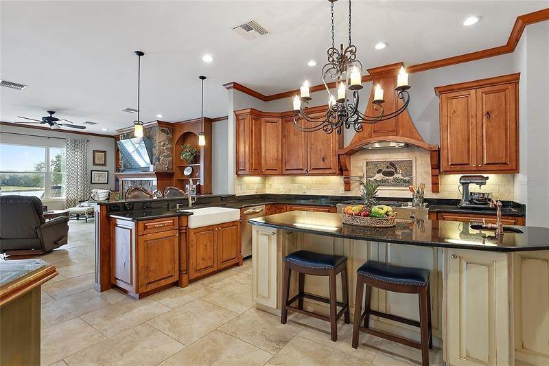 13. Single Family Homes for Sale at 798 HAWK LANDING Fruitland Park, Florida 34731 United States