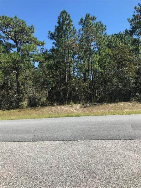 2. Land for Sale at 9839 N CHERRY LAKE DRIVE Citrus Springs, Florida 34433 United States