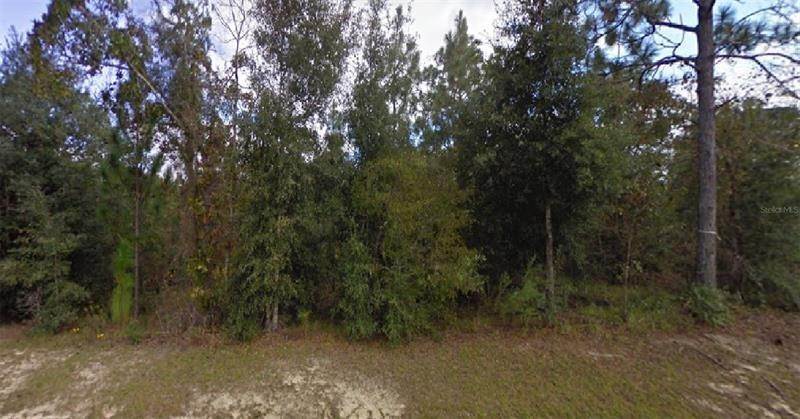 Land for Sale at SALEM DRIVE Chipley, Florida 32428 United States