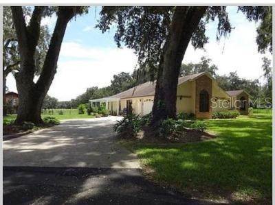 Single Family Homes por un Venta en 12603 SR 471 Webster, Florida 33597 Estados Unidos