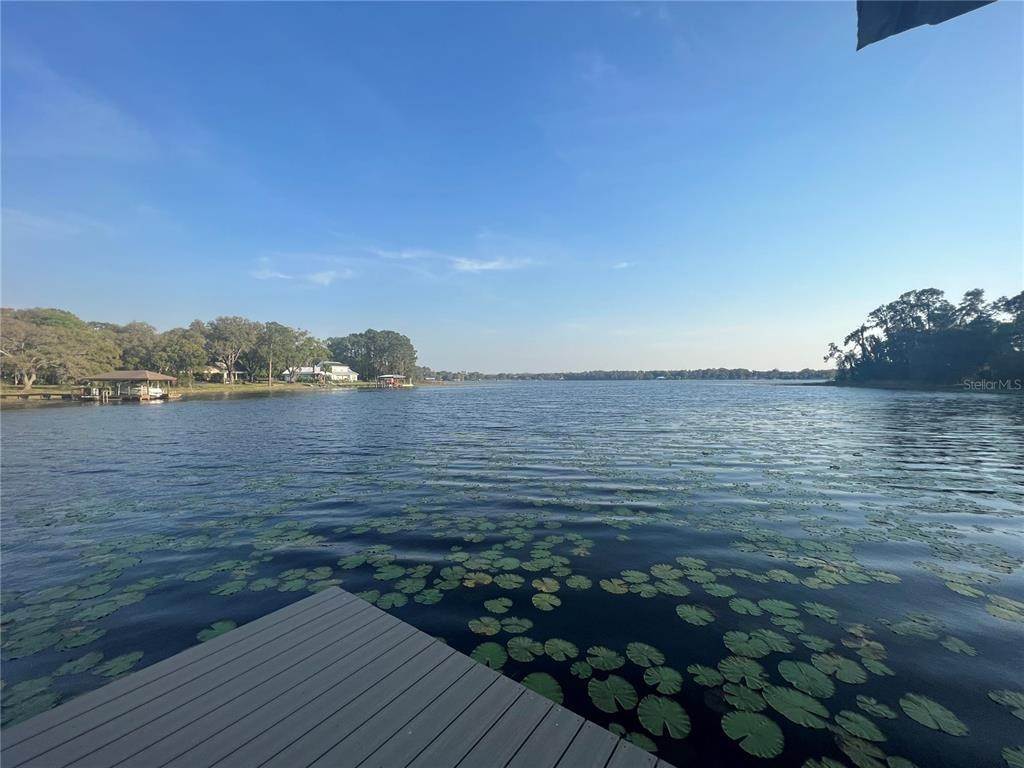 Land for Sale at 8620 TARPON SPRINGS ROAD Odessa, Florida 33556 United States