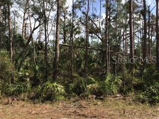 1. Land for Sale at RIPLEY STREET North Port, Florida 34286 United States