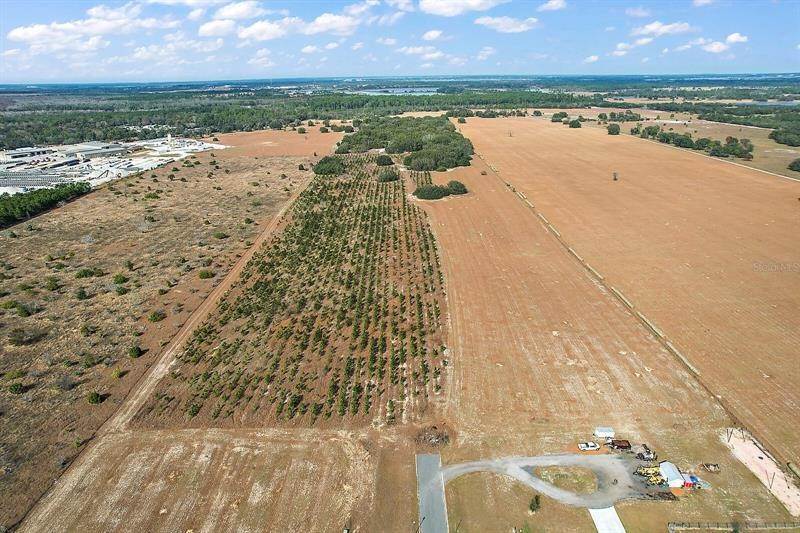 土地,用地 为 销售 在 CITRUS FARMS DRIVE Astatula, 佛罗里达州 34705 美国